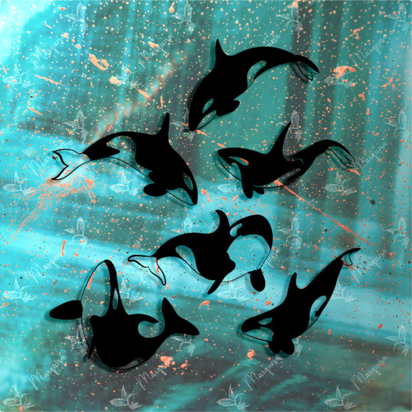 Orca Family - Sticker, Killerwal, Sea, Aufkleber, Scheibenaufkleber, Tierschutz
