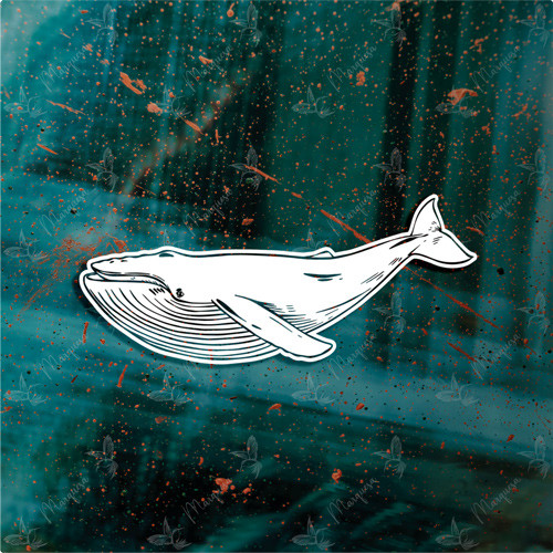 Blauwal Version 2 - Sticker, Whale, Sea, Aufkleber, Scheibenaufkleber, Tierschutz