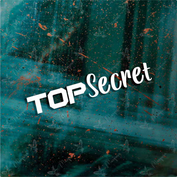 Top Secret - Aufkleber, Autoaufkleber, Scheibenaufkleber, Sticker, Tuning
